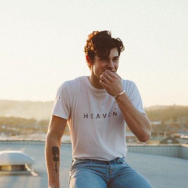 Shawn Mendes photo 42