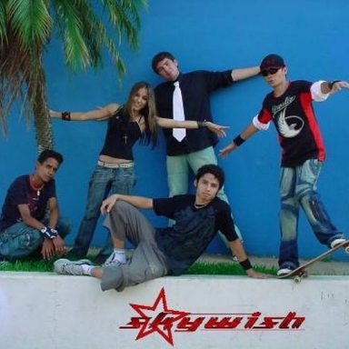 Skywish
