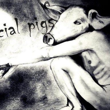 SocialPigs