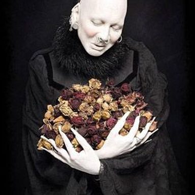 Sopor Aeternus photo 18