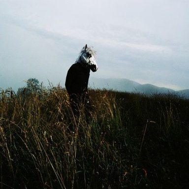 Sparklehorse