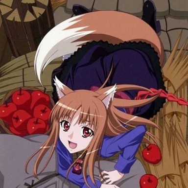 Spice And Wolf (anime)