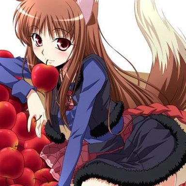 Spice And Wolf (anime)