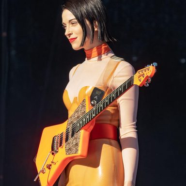 St. Vincent photo 17