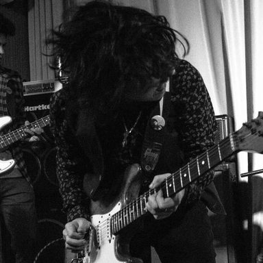 Sterna Peyote