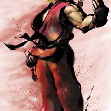 Street Fighter photo 13