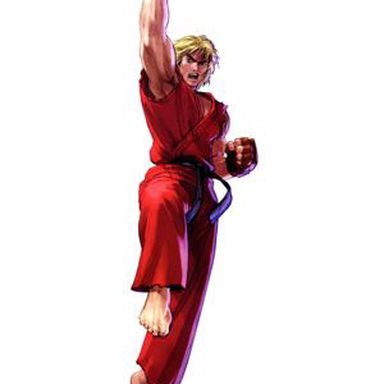 Street Fighter photo 11