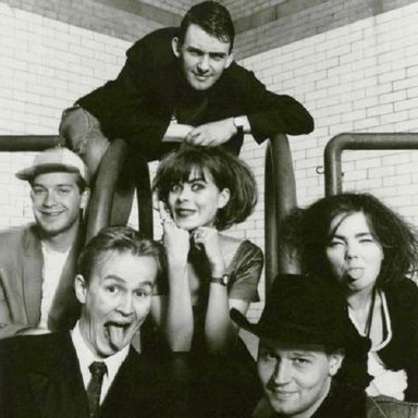 Sugarcubes
