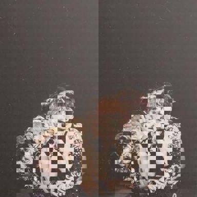 SUPER JUNIOR photo 20