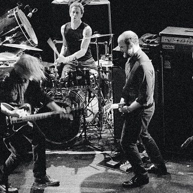 Swans