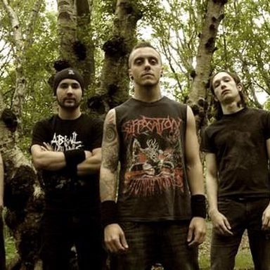Sylosis photo 13