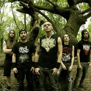 Sylosis photo 14