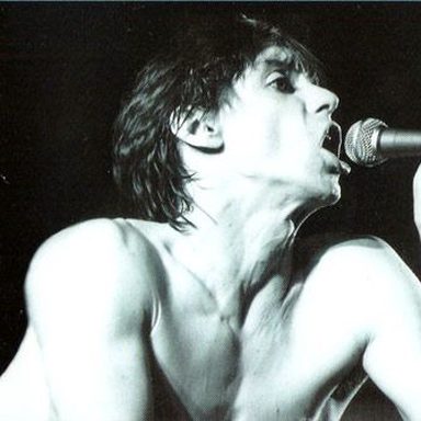 The Stooges photo 9