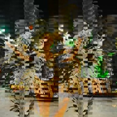 S.B.C.R Imperatriz Dona Leopoldina