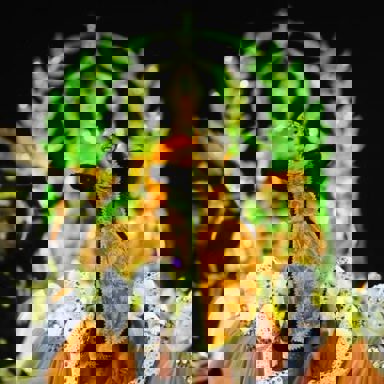 S.B.C.R Imperatriz Dona Leopoldina