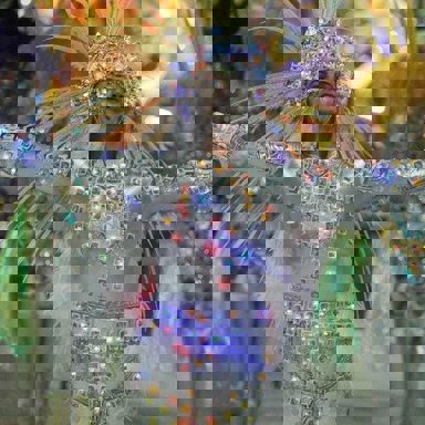 S.R.C.S. Embaixada Copa Lord (SC) photo 11