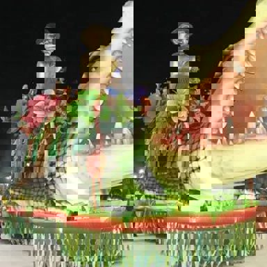 S.B.C.R Imperatriz Dona Leopoldina photo 9