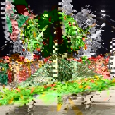 S.C. Morro da Casa Verde