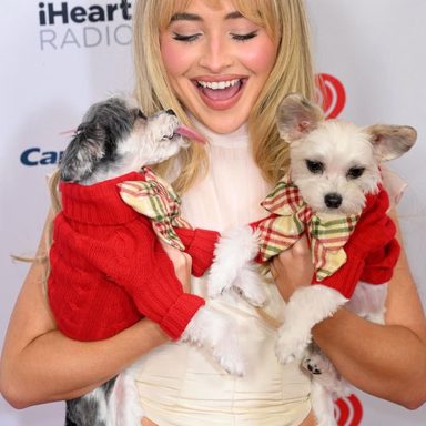 Sabrina Carpenter photo 520