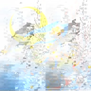 Sakura Card Captors photo 13