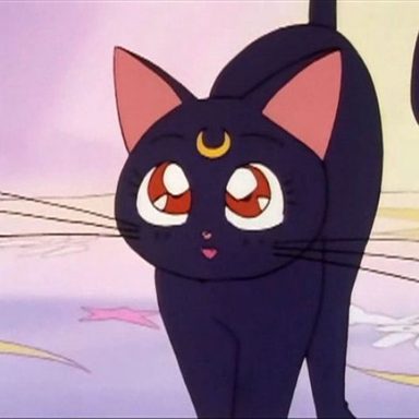 Sailor Moon photo 22