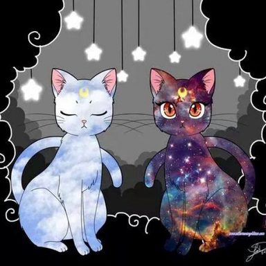 Sailor Moon photo 21