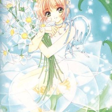 Sakura Card Captors photo 57
