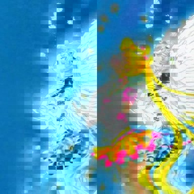 Sailor Moon photo 19