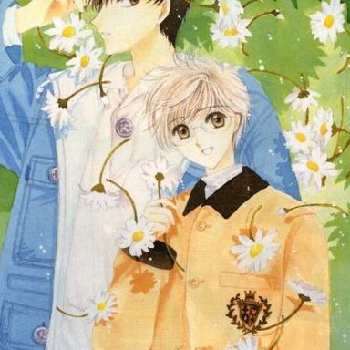 Sakura Card Captors photo 30