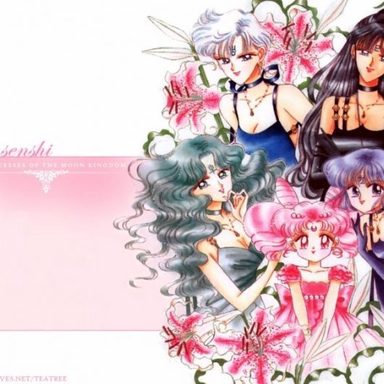 Sailor Moon photo 41