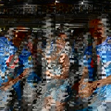 Samba-Enredo photo 13