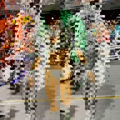 Samba-Enredo photo 19