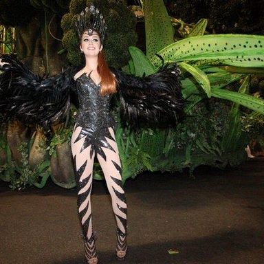 Samba-Enredo photo 100