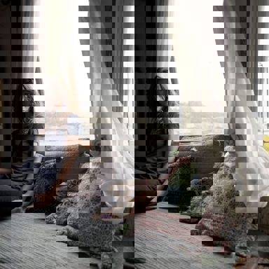 Sara Bareilles photo 13