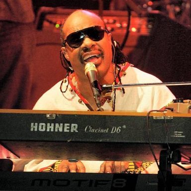 Stevie Wonder