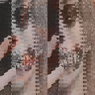 Tate Vikernes photo 16