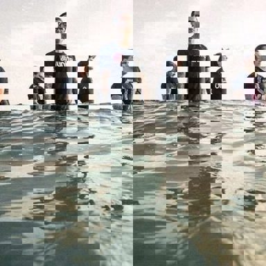 The Amity Affliction photo 9