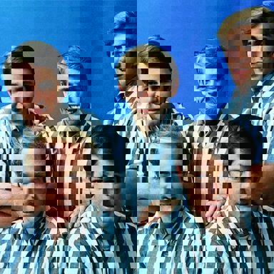 The Beach Boys