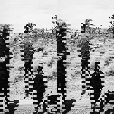 The Dangerous Summer