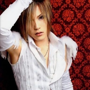 the GazettE photo 113