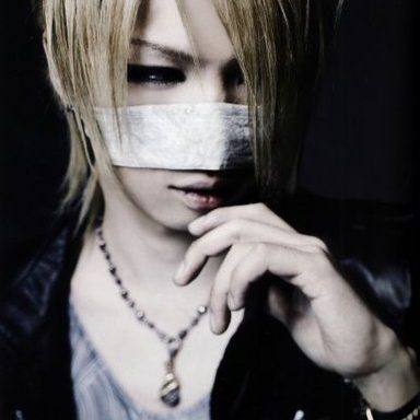 the GazettE photo 206