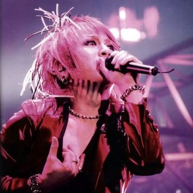 the GazettE photo 213