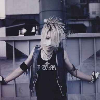 the GazettE photo 201
