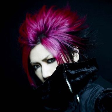 the GazettE photo 134