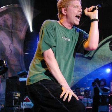 The Offspring photo 9