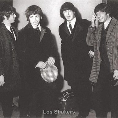 The Sharks