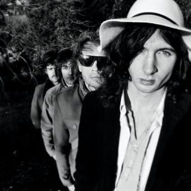 The Shutes