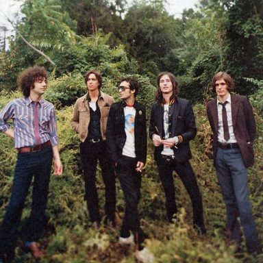 The Strokes photo 32