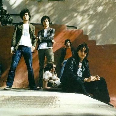 The Strokes photo 15