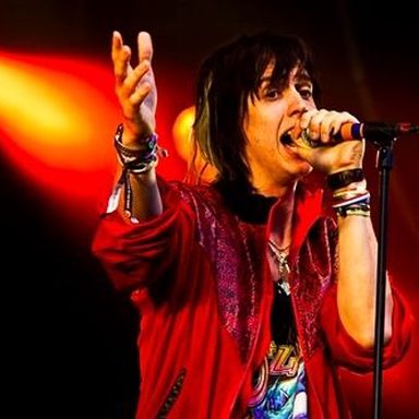 The Strokes photo 27